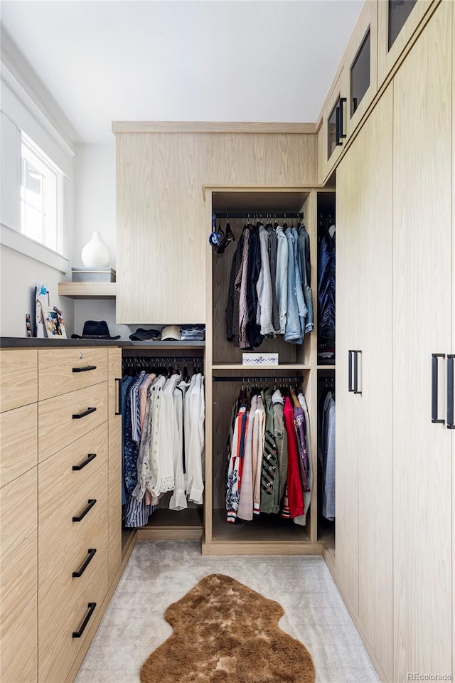 view of closet