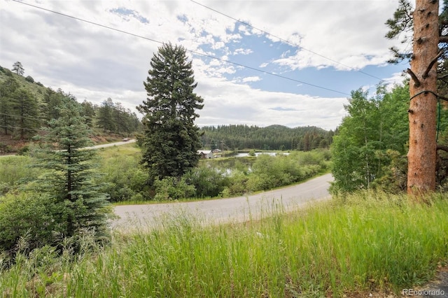 3909 County Road 72, Bailey, CO 80421 - view of tree filled area