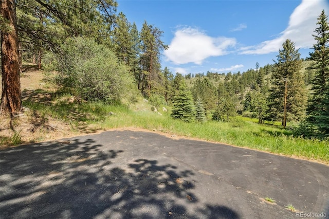 3909 County Road 72, Bailey, CO 80421 - view of road featuring a forest view