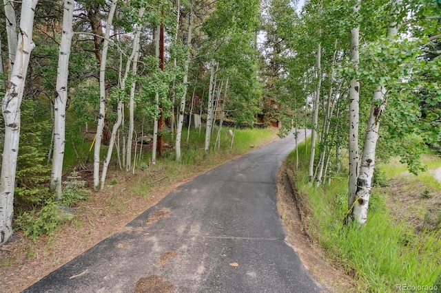 3909 County Road 72, Bailey, CO 80421 - view of road