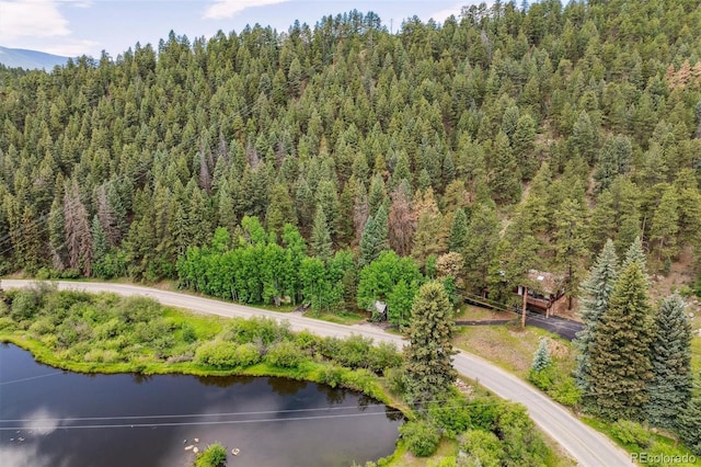 3909 County Road 72, Bailey, CO 80421 - aerial view of a heavily wooded area and a nearby body of water