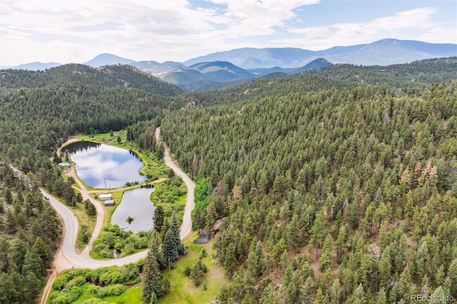 3909 County Road 72, Bailey, CO 80421 - aerial view of a forest and a water and mountain view