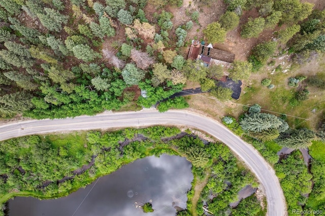 3909 County Road 72, Bailey, CO 80421 - aerial view of property's location featuring a large body of water