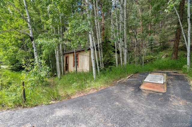 3909 County Road 72, Bailey, CO 80421 - view of yard with a wooded view