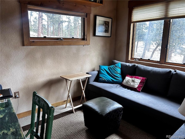 living area featuring a textured wall and carpet flooring