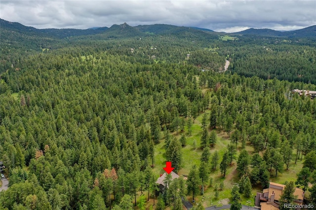 28065 Camel Heights Cir, Evergreen, CO 80439 - bird's eye view of a forest and a mountain backdrop