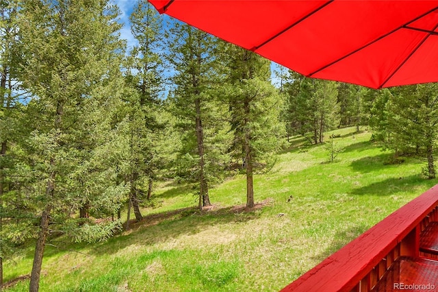 28065 Camel Heights Cir, Evergreen, CO 80439 - view of grassy yard with a wooded view