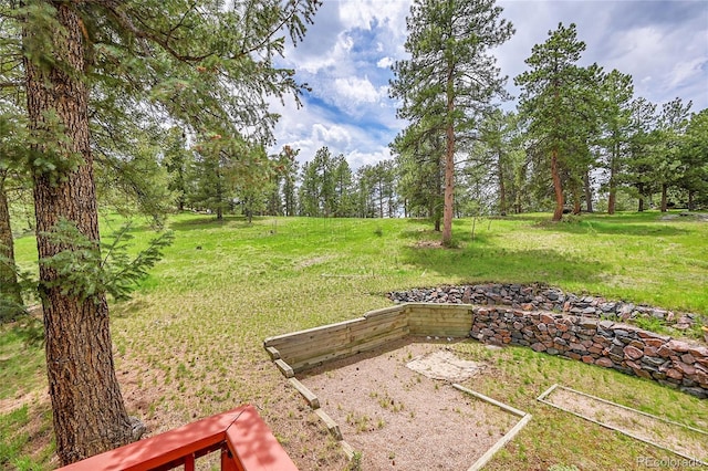 28065 Camel Heights Cir, Evergreen, CO 80439 - view of grassy yard