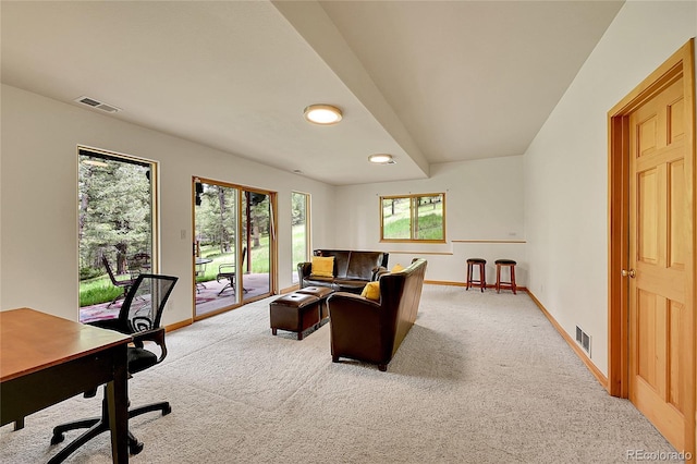 28065 Camel Heights Cir, Evergreen, CO 80439 - office featuring light colored carpet and baseboards