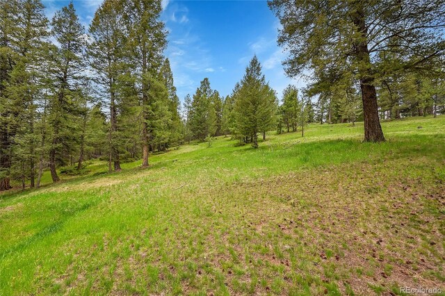 28065 Camel Heights Cir, Evergreen, CO 80439 - view of yard