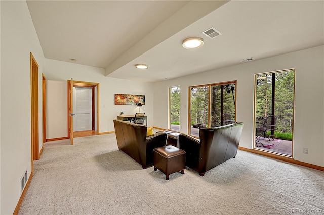 28065 Camel Heights Cir, Evergreen, CO 80439 - office area with light colored carpet, baseboards, and plenty of natural light