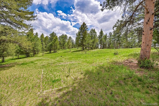 28065 Camel Heights Cir, Evergreen, CO 80439 - view of yard with a wooded view