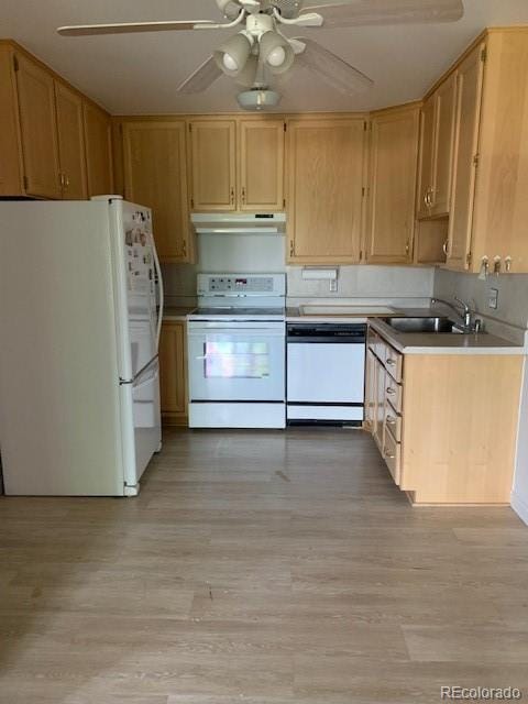 kitchen with white appliances, a sink, light wood-style flooring, a ceiling fan, and under cabinet range hood