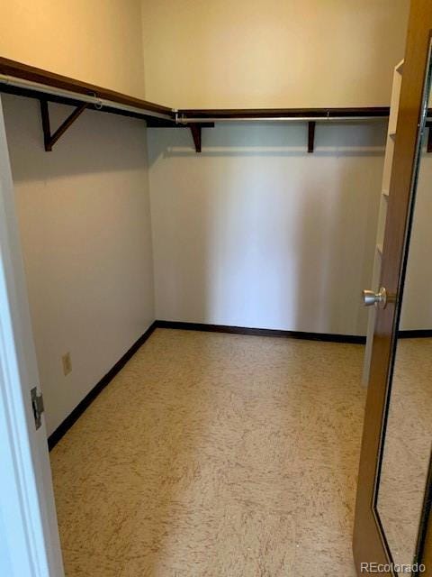 view of spacious closet