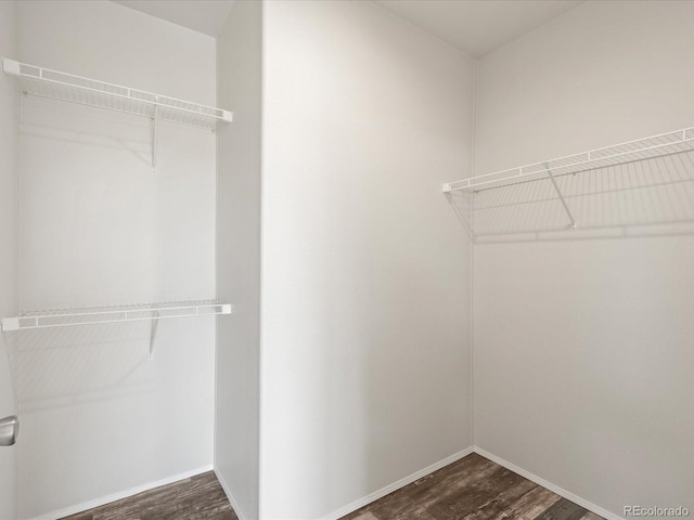 spacious closet with hardwood / wood-style floors