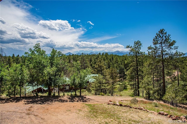 view of nature featuring a mountain view