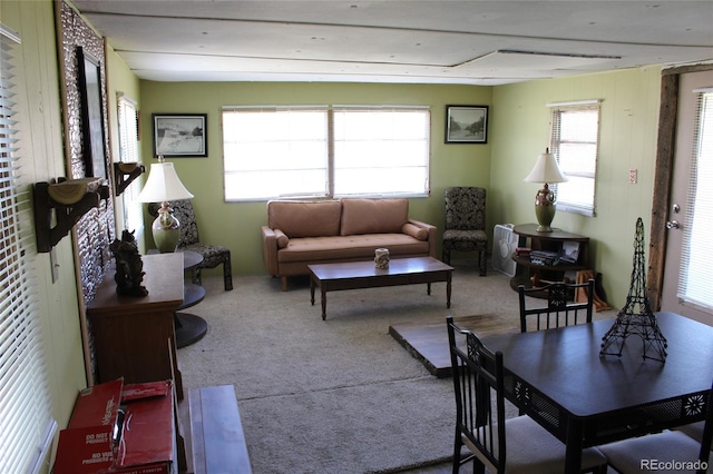 view of carpeted living room