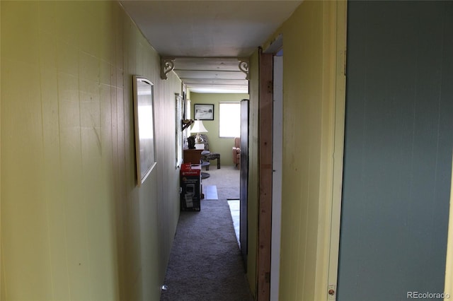 corridor with carpet floors