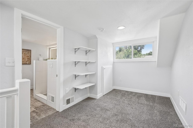 112 S Hooker St, Denver, CO 80219 - walk in closet with carpet