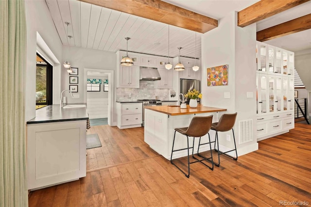 700 Cheyenne St, Golden, CO 80401 - kitchen with a kitchen bar, ventilation hood, a sink, light wood-style flooring, and appliances with stainless steel finishes