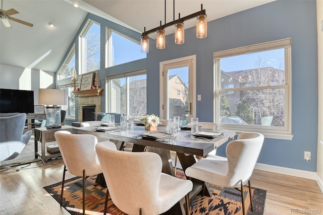 dining room with high vaulted ceiling, light hardwood / wood-style flooring, and ceiling fan