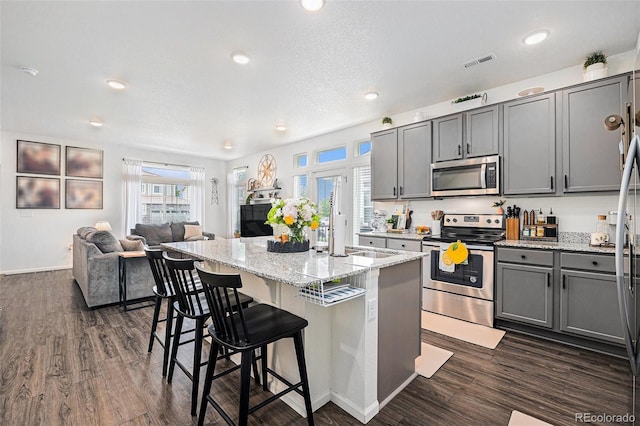 20000 E 40th Ave Unit 4, Denver, CO 80249 - kitchen featuring stainless steel appliances, gray cabinets, open floor plan, dark wood finished floors, and light stone counters