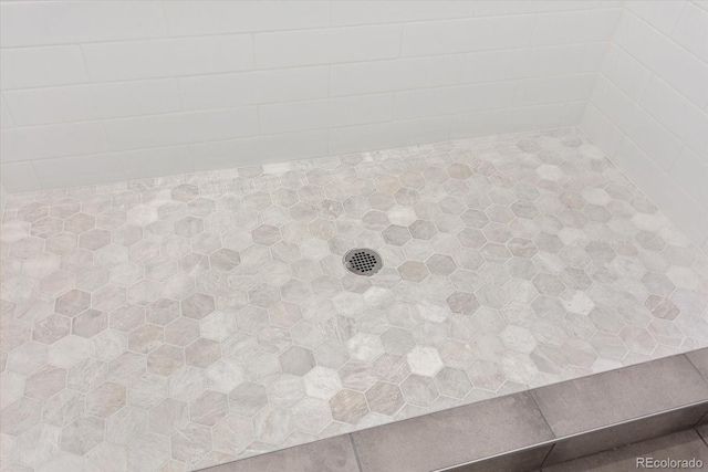 126 Chase St, Salida, CO 81201 - bathroom view of a tile shower