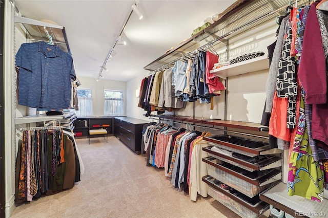 spacious closet with carpet