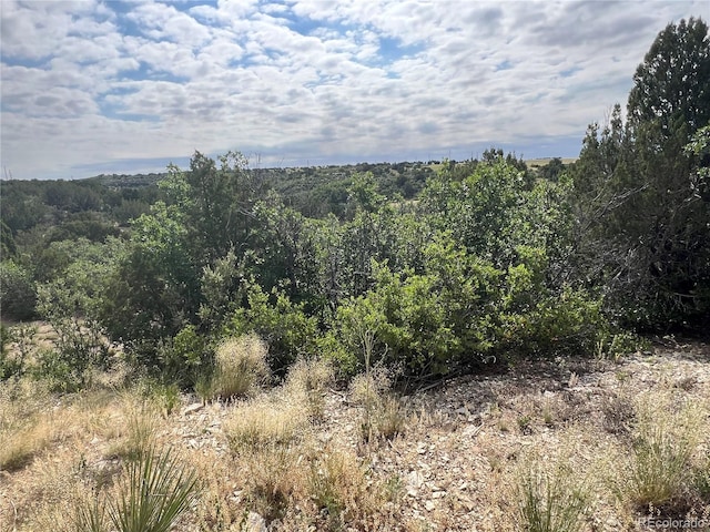 Georgetown Ln, Colorado City CO, 81019 land for sale