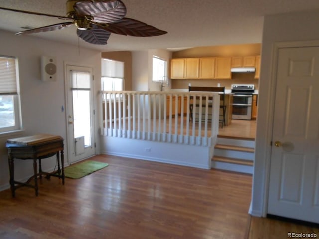 entrance foyer featuring dark hardwood / wood-style flooring, plenty of natural light, and ceiling fan