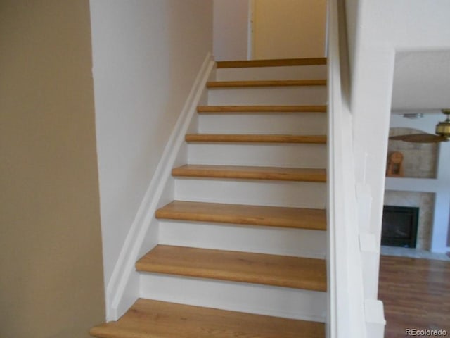 staircase featuring hardwood / wood-style floors