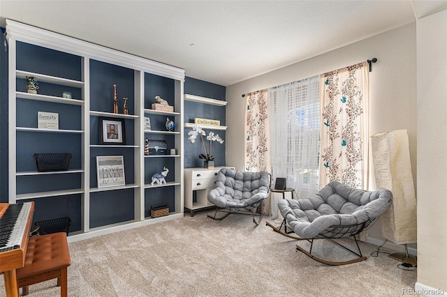 sitting room featuring baseboards and carpet floors