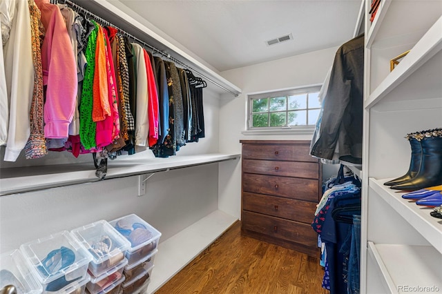 walk in closet with dark hardwood / wood-style flooring