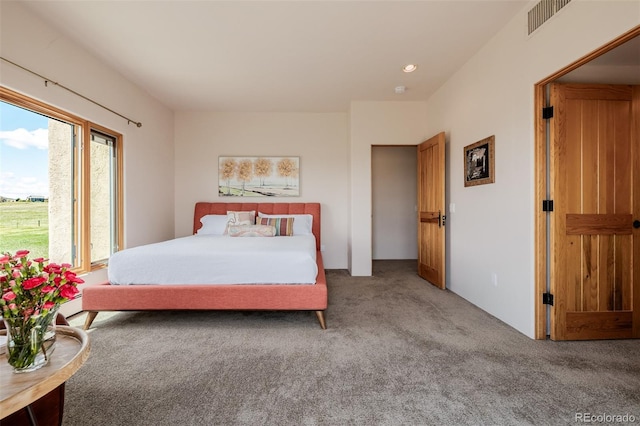 bedroom featuring carpet flooring and baseboard heating