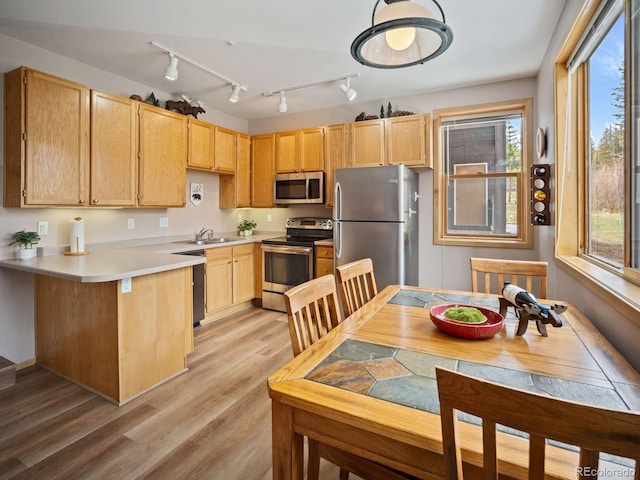 10000 Ryan Gulch Rd Unit 114, Silverthorne, CO 80498 - kitchen featuring stainless steel appliances, a sink, light brown cabinets, a peninsula, and light wood-style flooring
