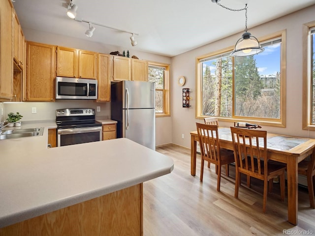 10000 Ryan Gulch Rd Unit 114, Silverthorne, CO 80498 - kitchen with appliances with stainless steel finishes, a sink, light countertops, light wood finished floors, and track lighting