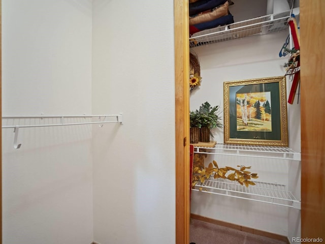 10000 Ryan Gulch Rd Unit 114, Silverthorne, CO 80498 - view of closet