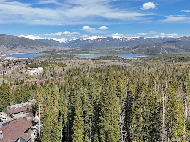10000 Ryan Gulch Rd Unit 114, Silverthorne, CO 80498 - view of mountain background with a heavily wooded area and a nearby body of water