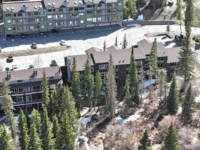 10000 Ryan Gulch Rd Unit 114, Silverthorne, CO 80498 - aerial view of apartment complex / building