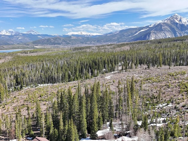 10000 Ryan Gulch Rd Unit 114, Silverthorne, CO 80498 - mountain view with a forest