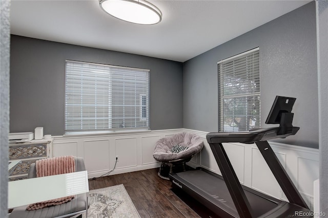 workout area with a decorative wall, a wainscoted wall, and dark wood-style floors