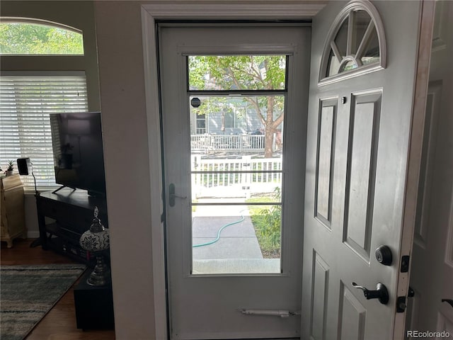 doorway with plenty of natural light and hardwood / wood-style flooring