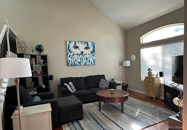 living room featuring high vaulted ceiling and hardwood / wood-style flooring