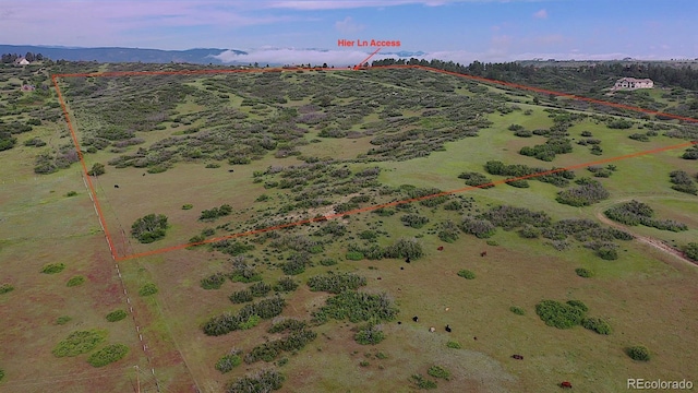 770 Hier Ln, Castle Rock, CO 80109 - photo 1