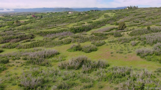 770 Hier Ln, Castle Rock, CO 80109 - photo 4