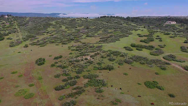 770 Hier Ln, Castle Rock, CO 80109 - photo 7