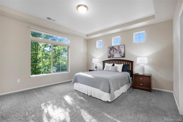 4875 S Catawba St, Aurora, CO 80016 - bedroom featuring carpet and a tray ceiling
