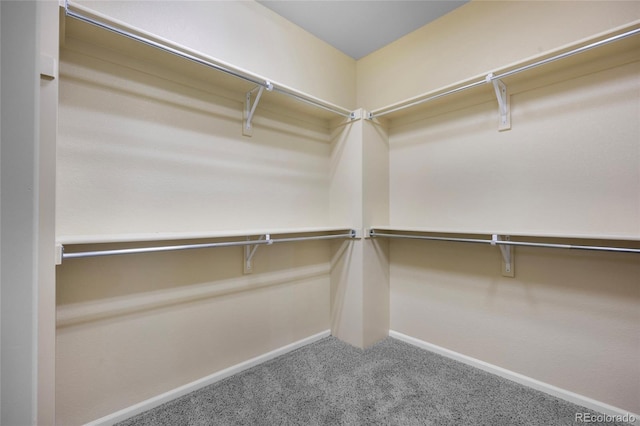 4875 S Catawba St, Aurora, CO 80016 - spacious closet with carpet floors