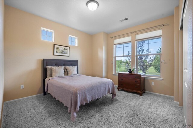 4875 S Catawba St, Aurora, CO 80016 - bedroom with carpet