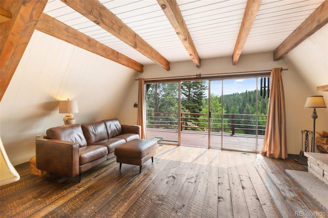 413 W Lake Dr, Divide, CO 80814 - living room featuring hardwood / wood-style floors